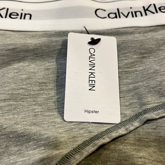 NWT Calvin Klein Modern Cotton Plus Hipster - Picture 7 of 9